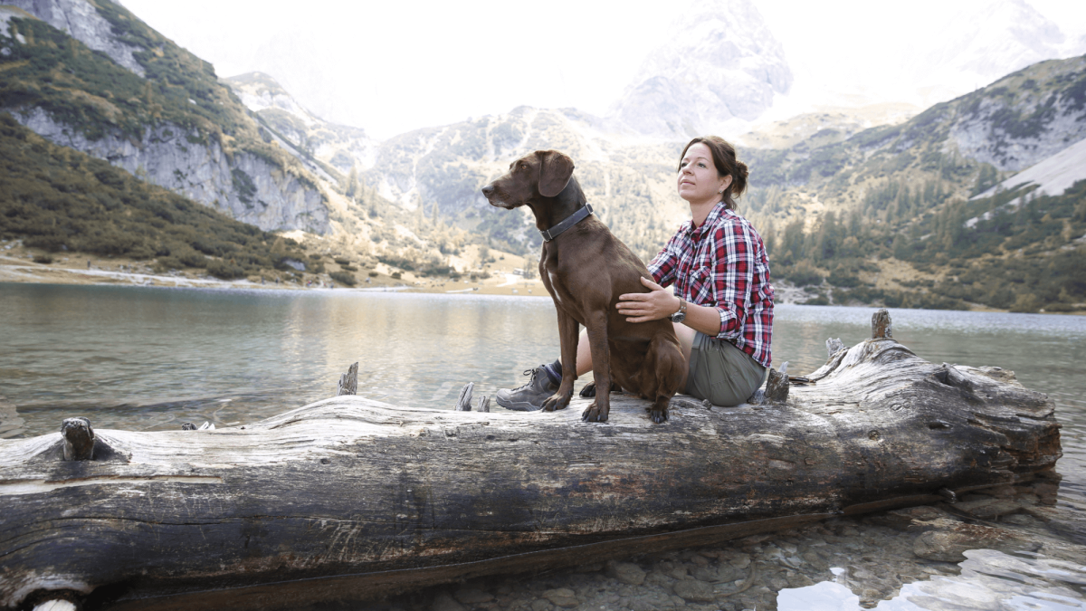 Die Kombination von nachhaltiger Haustierpflege mit der Hundehaftpflicht der NV