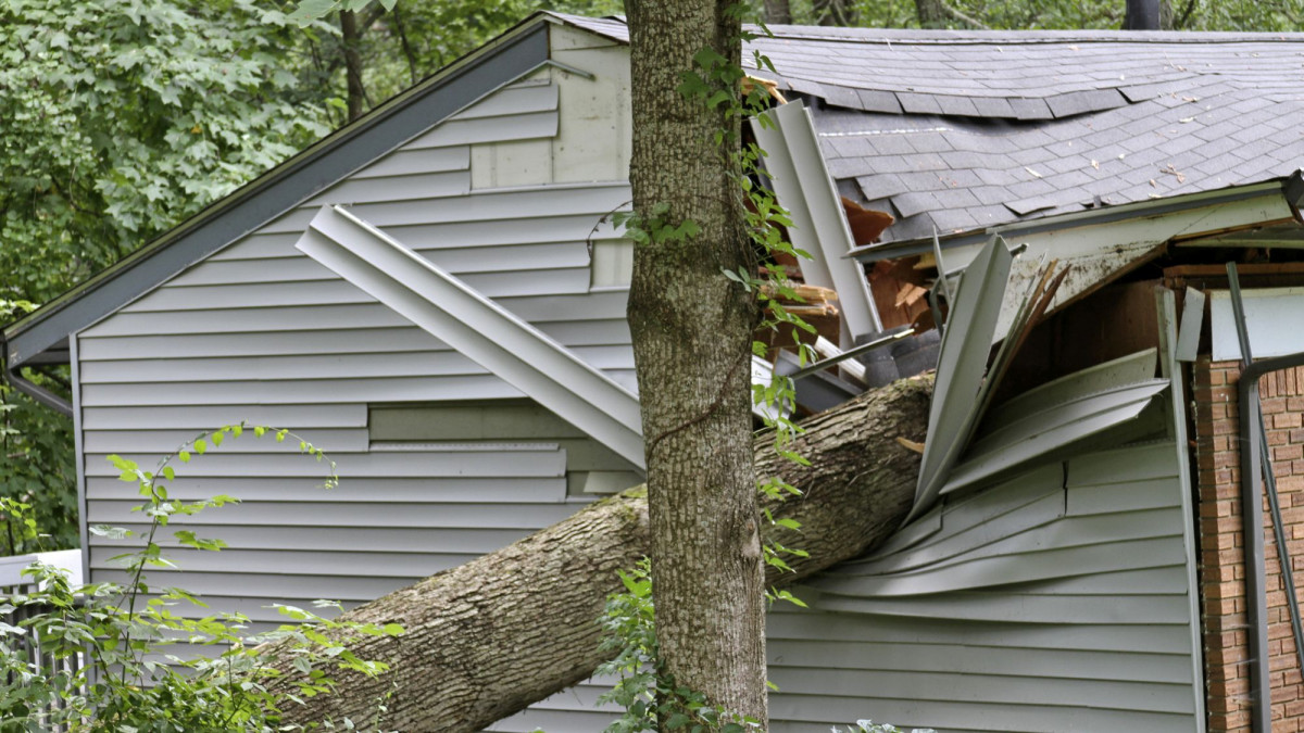 Baum auf Haus gestürzt